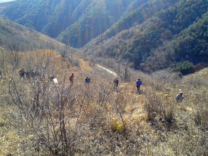 �����ֳ������ֳ�