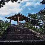 ����ɽ���