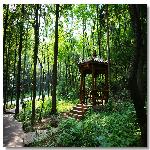 ����ɽ���