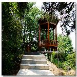 ����ɽ���