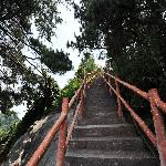 ����ɽ���