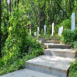 ����ɽ���