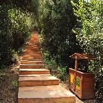 ����ɽ���